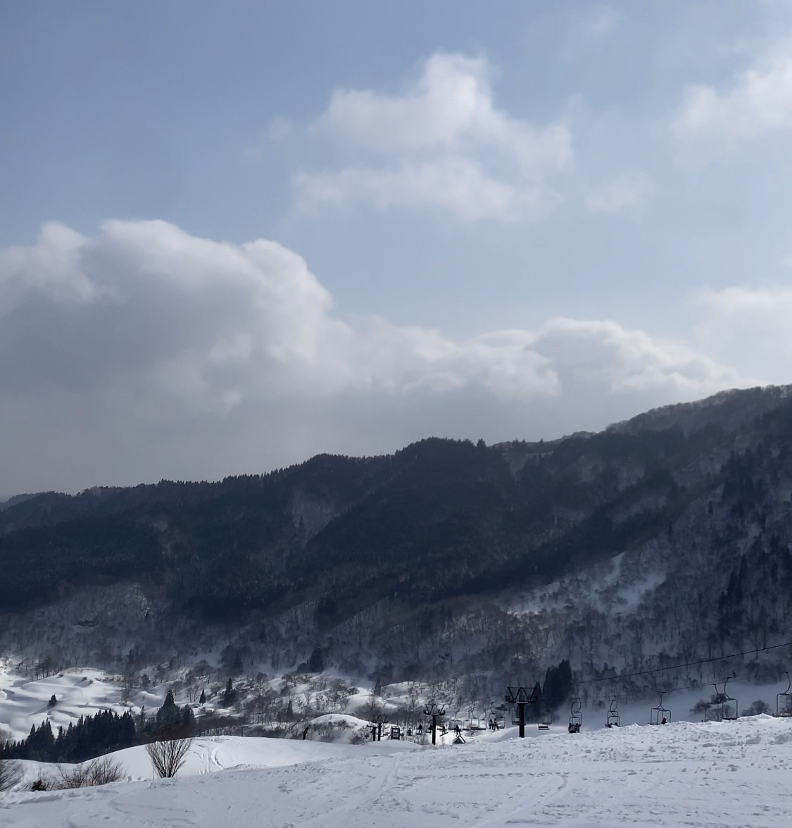 兵庫県養父市にある氷ノ山国際スキー場のコース山頂から眺める景色
